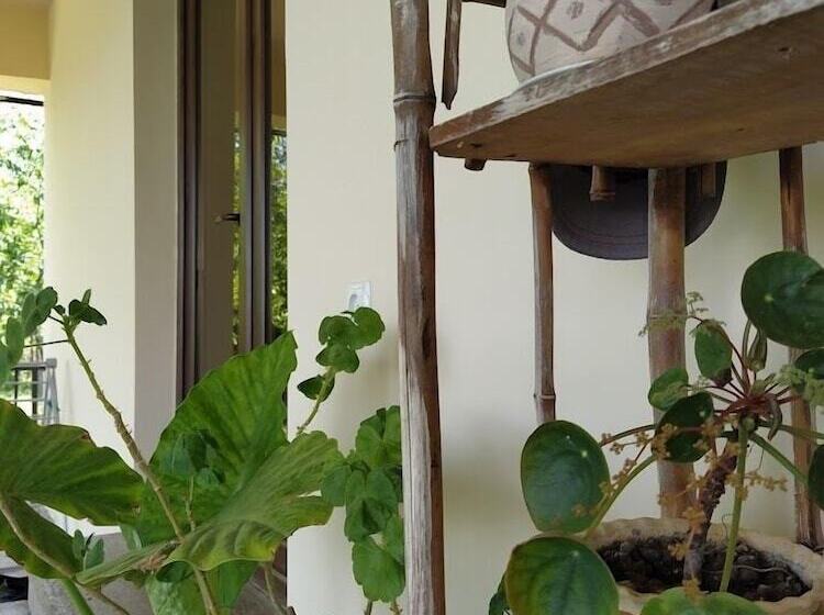 پانسیون Shanshe