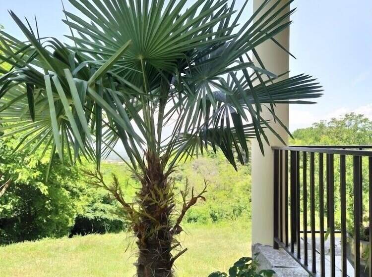 پانسیون Shanshe