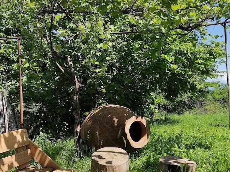 پانسیون Shanshe