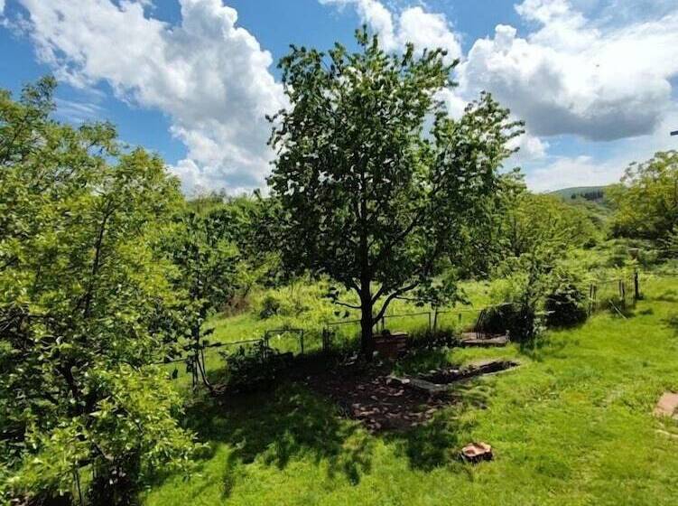 پانسیون Shanshe