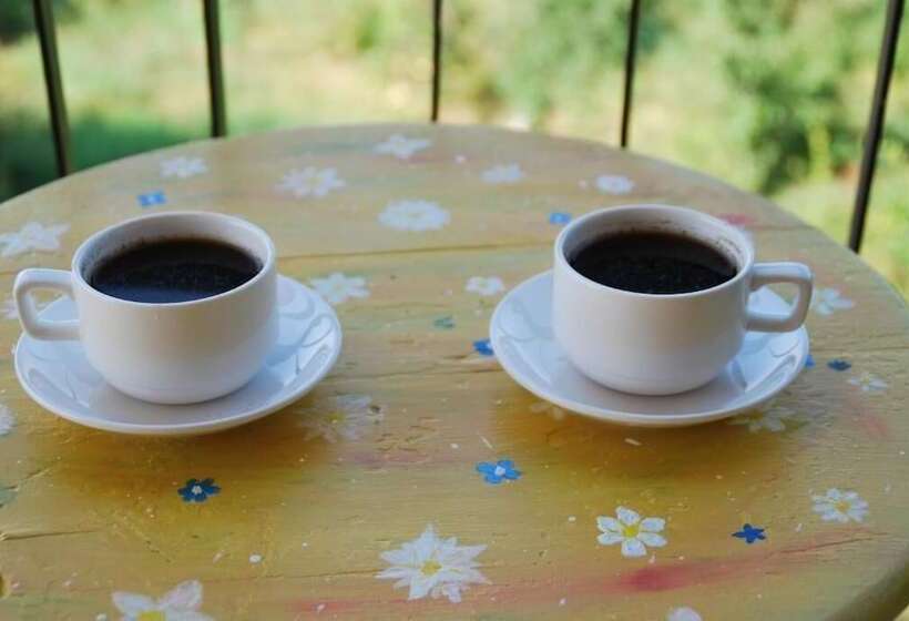 پانسیون Shanshe