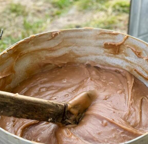 پانسیون Shanshe