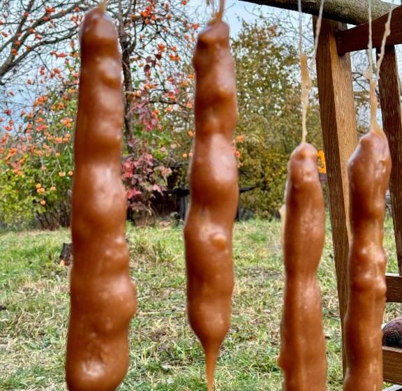 پانسیون Shanshe