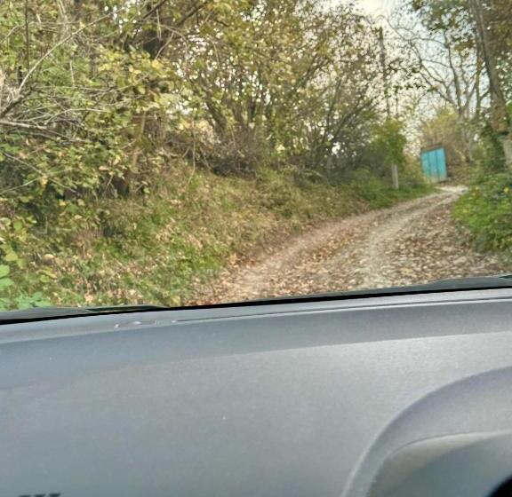 پانسیون Shanshe