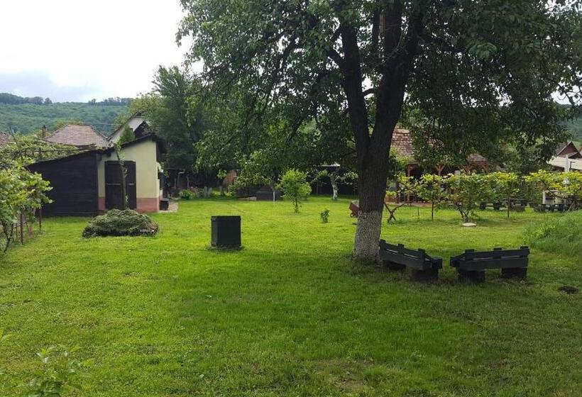 Пансион Valchid Guest House