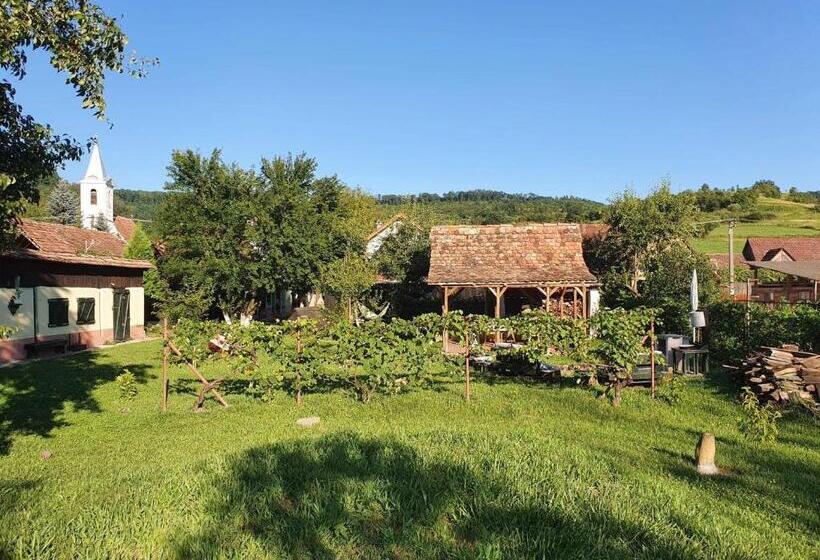 Пансион Valchid Guest House