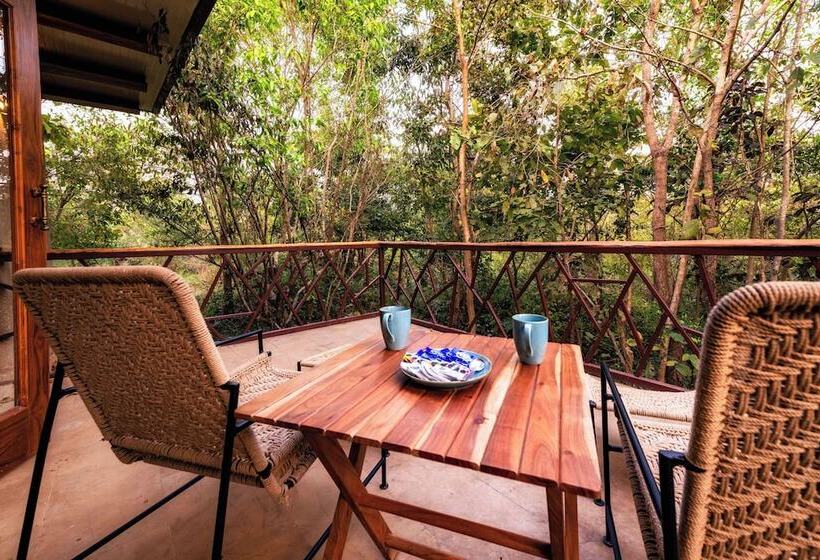 אתר נופש Kanha Jungle Camp