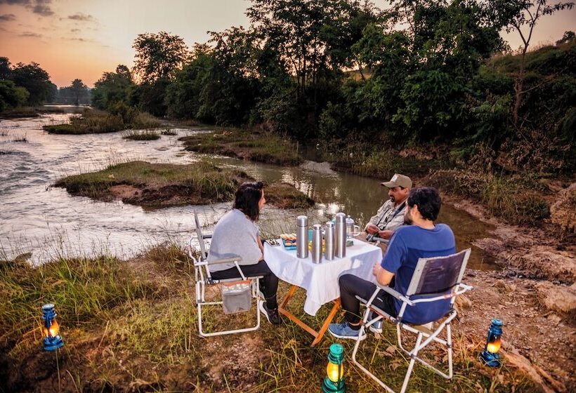 渡假胜地  Kanha Jungle Camp