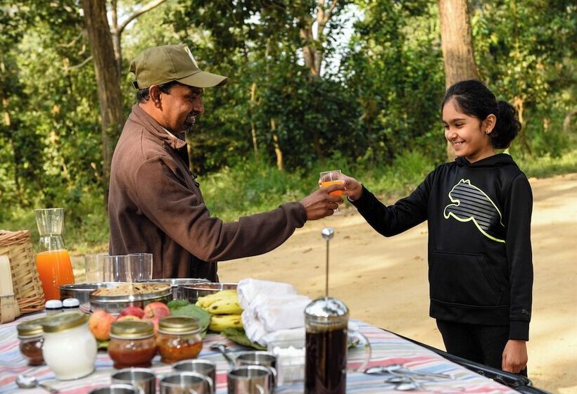渡假胜地  Kanha Jungle Camp