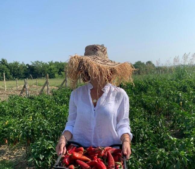 הוסטל Agroturizem Gjepali