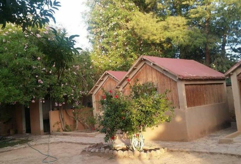 هاستل Auberge Souktana