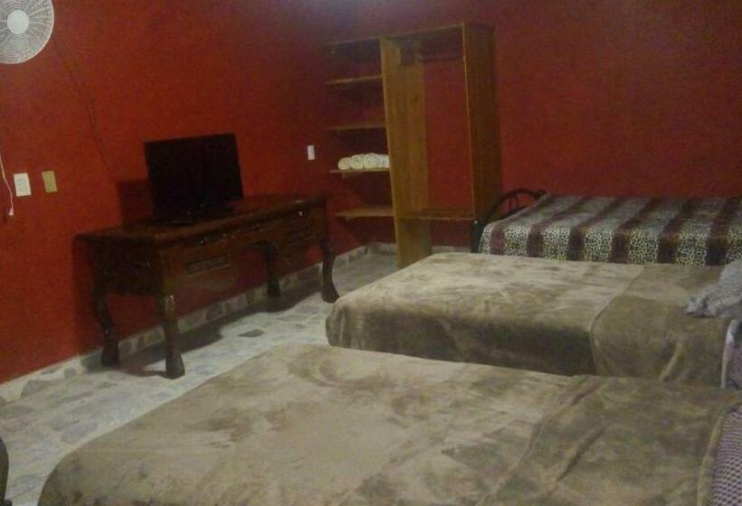 Общежитие Casa Celia