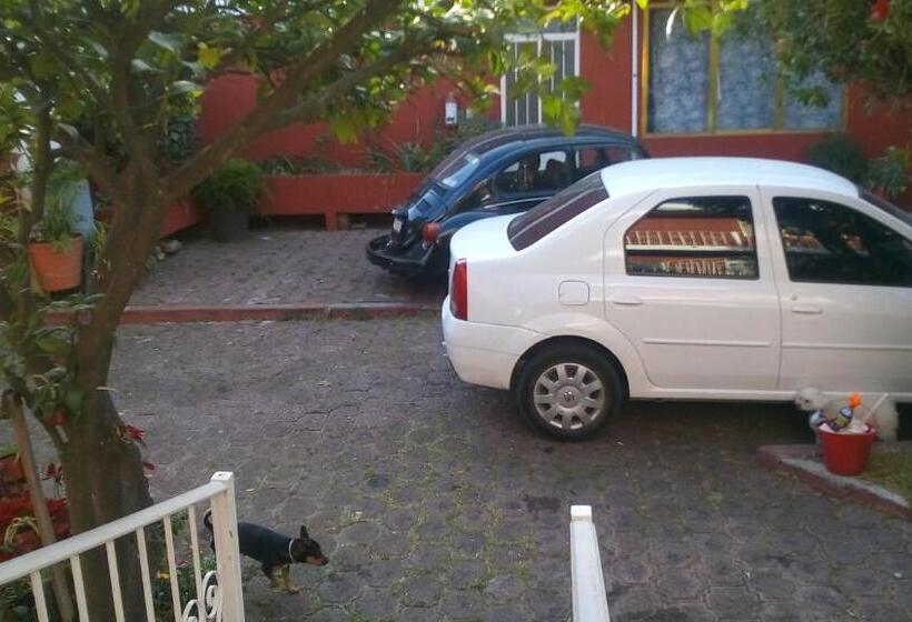 Общежитие Casa Celia