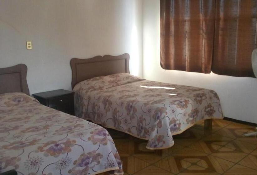 Общежитие Casa Celia