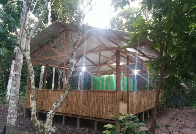 Общежитие Majacho`s House