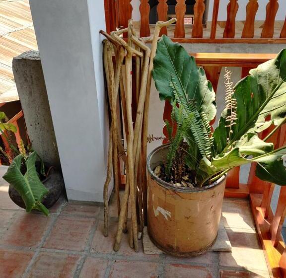 ベッドアンドブレックファースト Balcon De Gocta