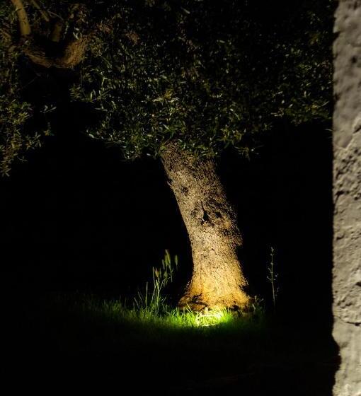 Bed and Breakfast Casale Petrarolo