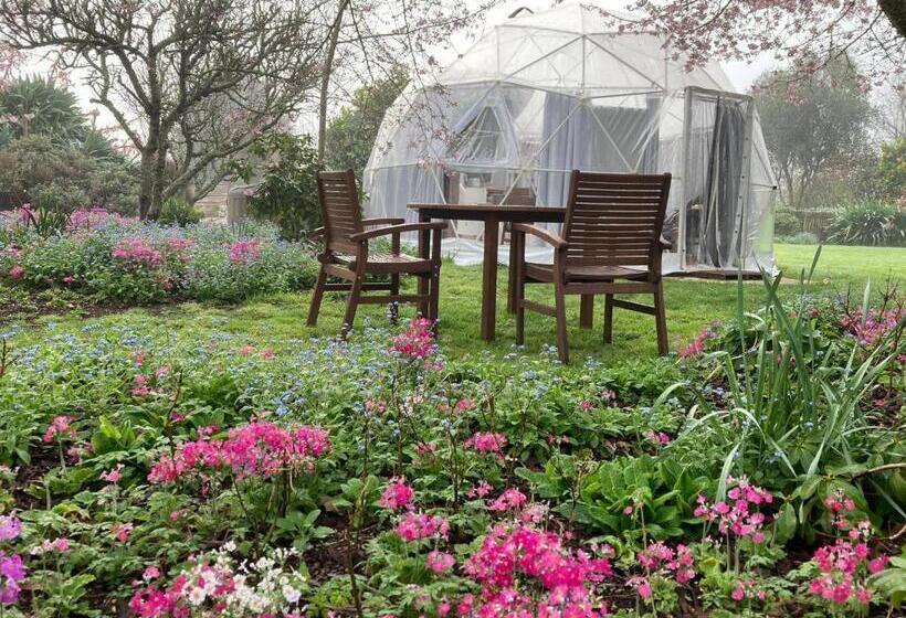 Bed and Breakfast English Cherry Tree Manor