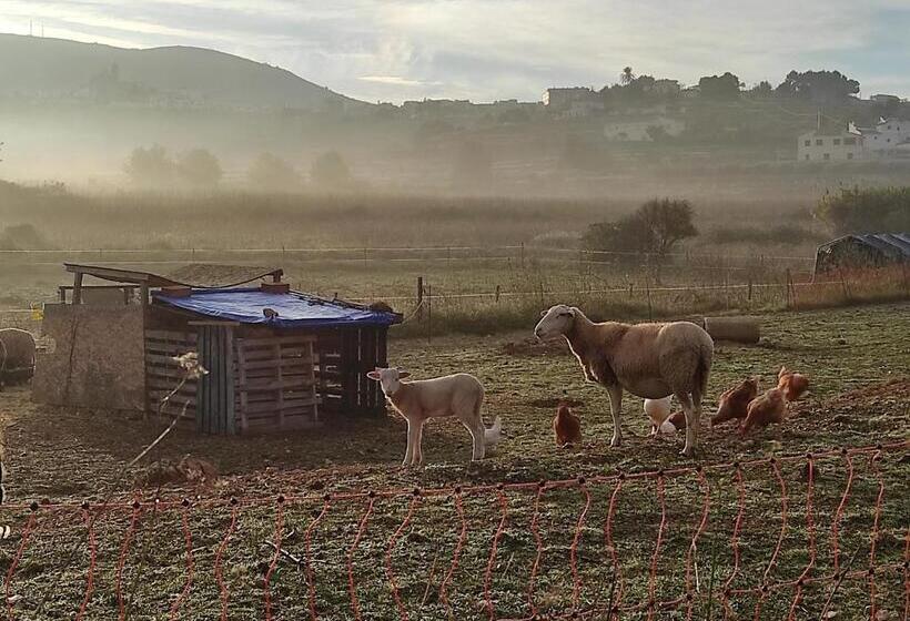 Bed and Breakfast Finca Esperanza