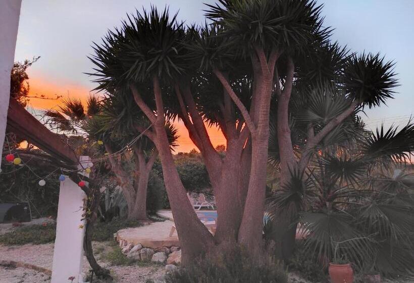 Bed and Breakfast Finca Esperanza