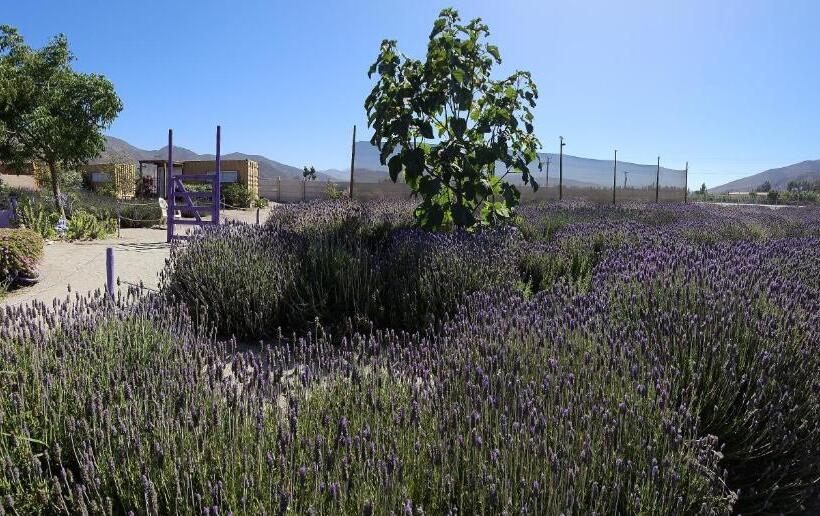 住宿加早餐 Lavanda Del Valle