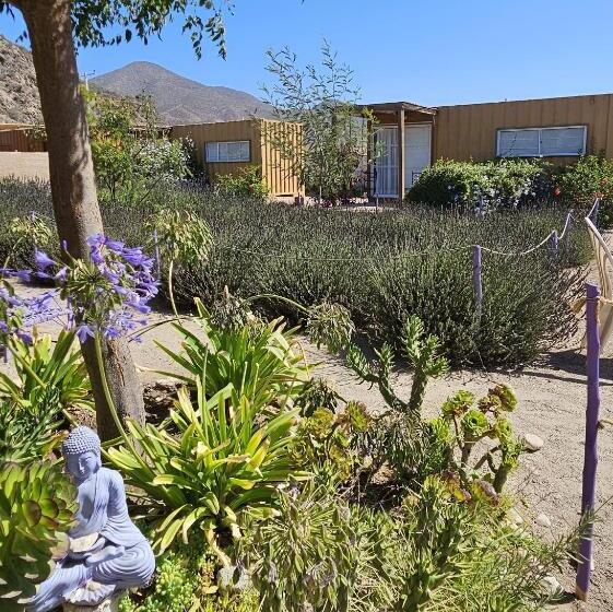 住宿加早餐 Lavanda Del Valle