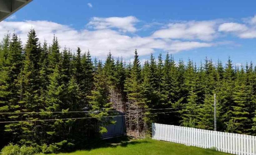 ベッドアンドブレックファースト Trinity Guest House