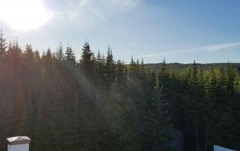 ベッドアンドブレックファースト Trinity Guest House