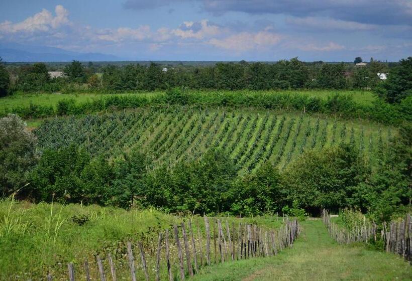 تختخواب و صبحانه Zaali S Wine Cellar