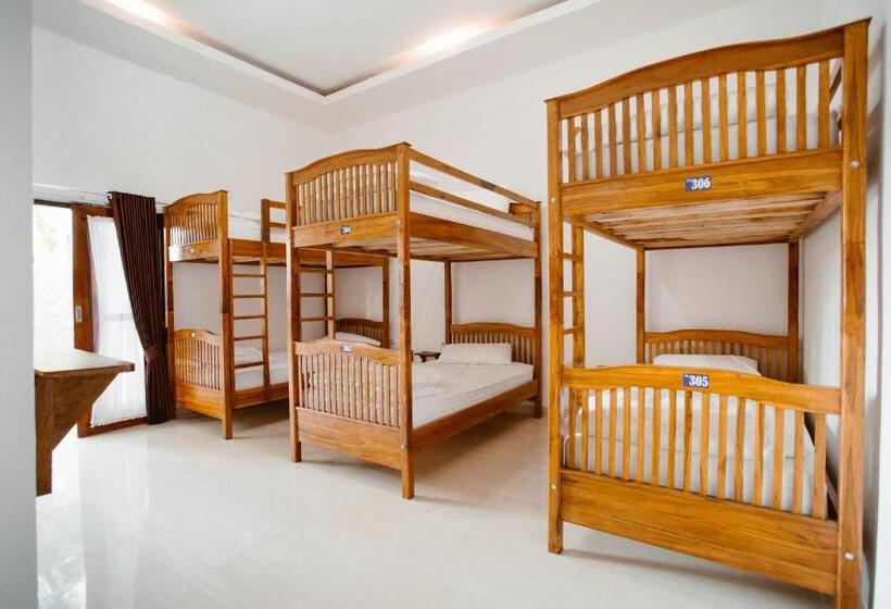Double D Hostel
