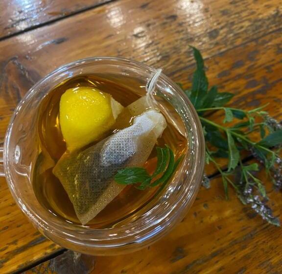 هتل готель зелений клин