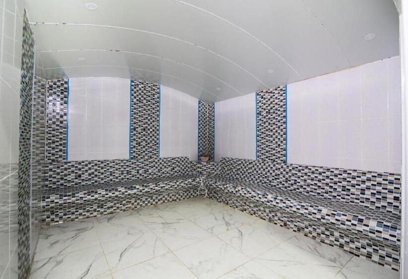 Отель Arya Termal