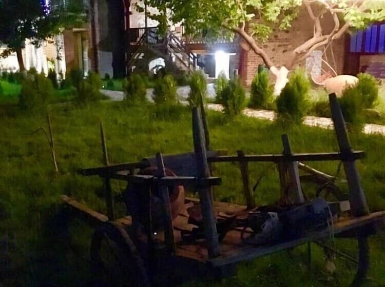 هتل Chateau Ikalto