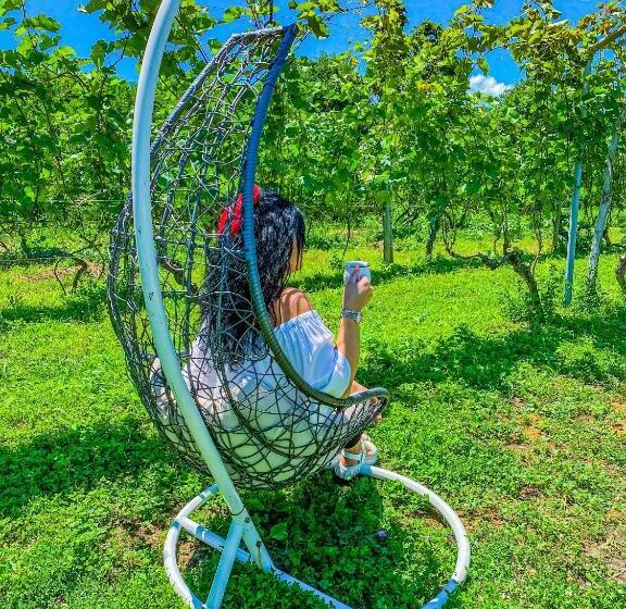 هتل Chateau Ikalto