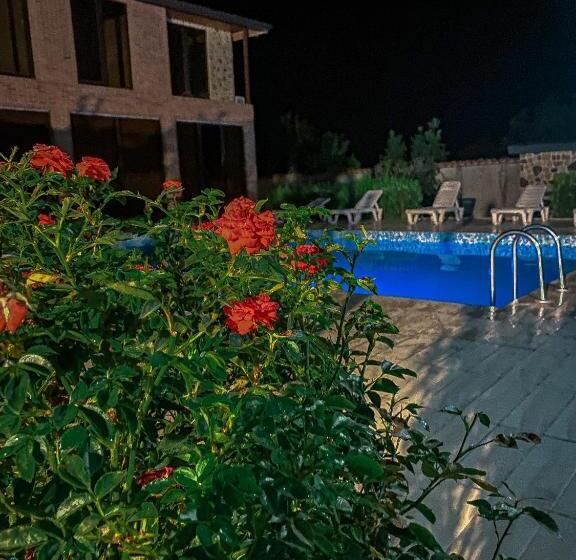 هتل Chateau Ikalto