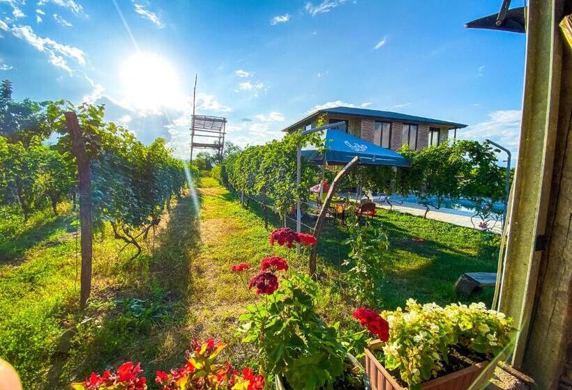 هتل Chateau Ikalto