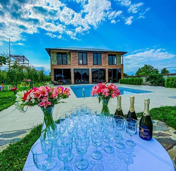 هتل Chateau Ikalto