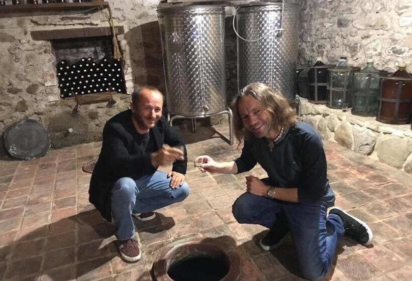 هتل Chateau Ikalto