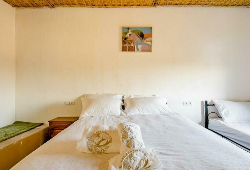 هتل Elaaz Horse Farm