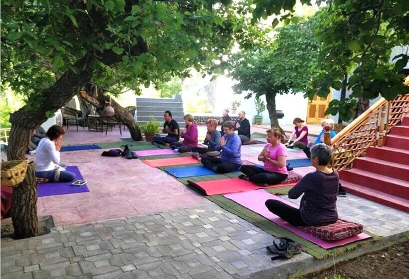 Namra Hotel And Camps   Temisgam