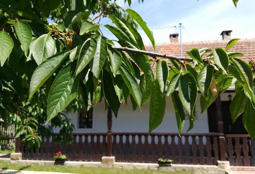 Пансион Bodrogparti Vendégház Sárazsadány