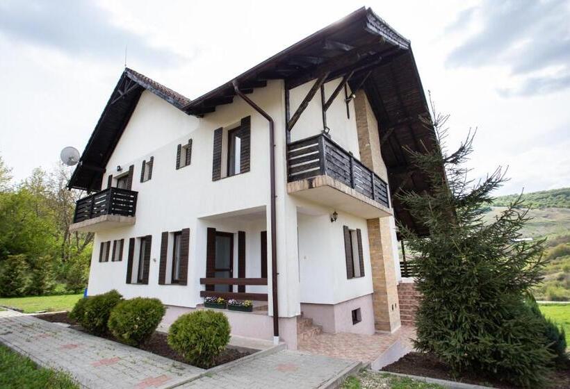 פנסיון Casa Poienita Apusenilor