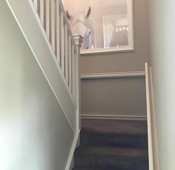 بنسيون Gate Lodge At Lough Erne Golf Village