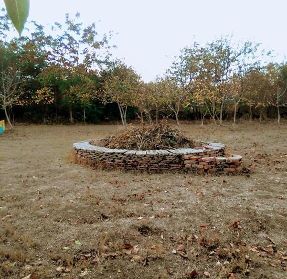 Пансион Granichar 3 Surfa