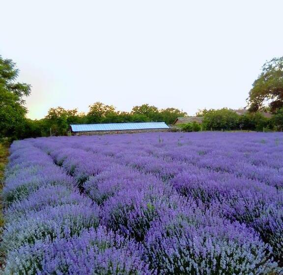 Пансион Granichar 3 Surfa