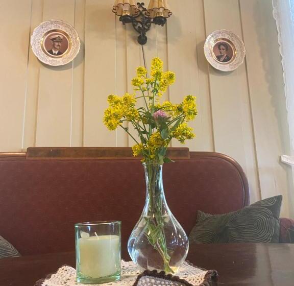 پانسیون Heidal Gjestgiveri As