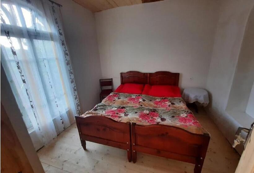 پانسیون Nino & Tarzan Guesthouse