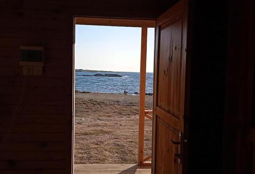 膳宿费 Oasi̇s At Ayfi̇lon