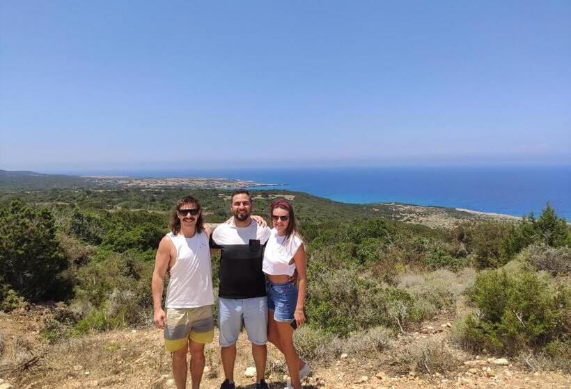 膳宿费 Oasi̇s At Ayfi̇lon