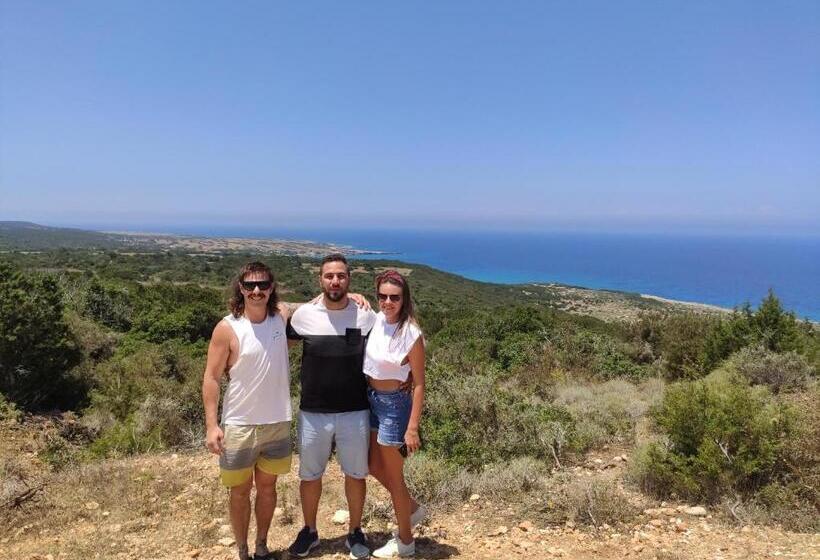 膳宿费 Oasi̇s At Ayfi̇lon